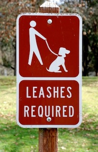 Leashes Required